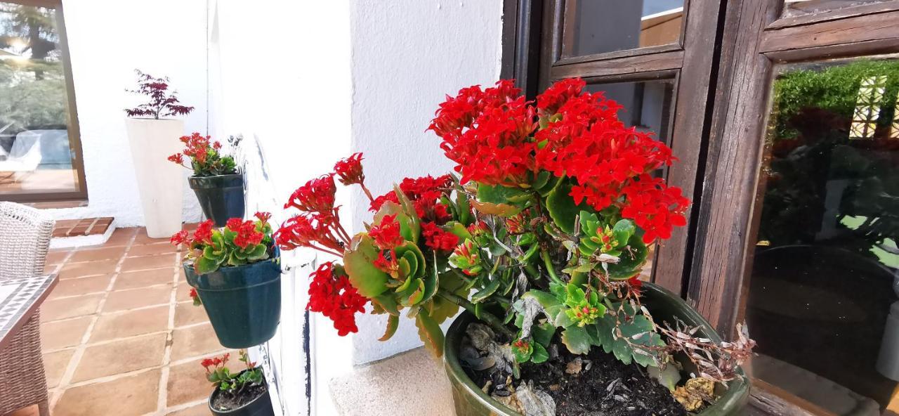 Roca Verde, Boutique Bed & Breakfast (Adults Only) Альхаурин-де-ла-Торре Экстерьер фото