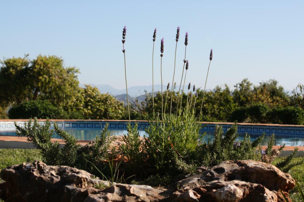 Roca Verde, Boutique Bed & Breakfast (Adults Only) Альхаурин-де-ла-Торре Экстерьер фото